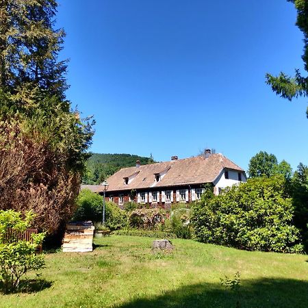 Hotel La Rubanerie Schirmeck Exterior foto
